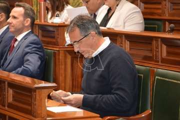 Pleno ordinario de febrero de 2020 (Foto TA)